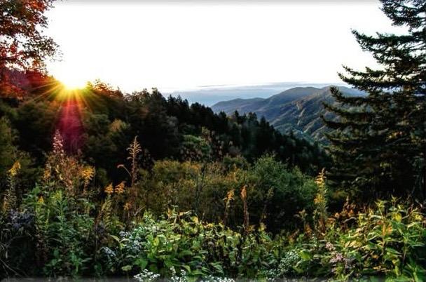 Smoky Mountain
